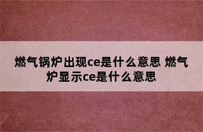 燃气锅炉出现ce是什么意思 燃气炉显示ce是什么意思